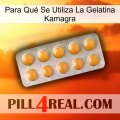 Para Qué Se Utiliza La Gelatina Kamagra levitra1